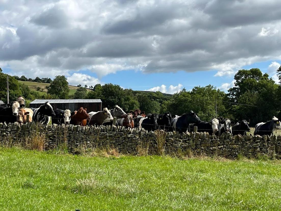 Riding House Farm Cottages Castleton  Exterior photo